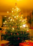 Christmas tree - Malene Thyssen, http://commons.wikimedia.org/wiki/User:Malene